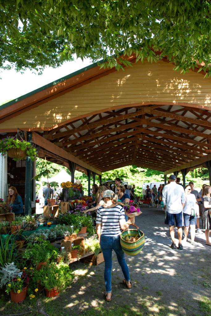 Summer at the Market   